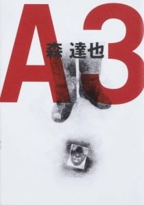 a3