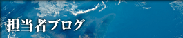 担当者ブログ