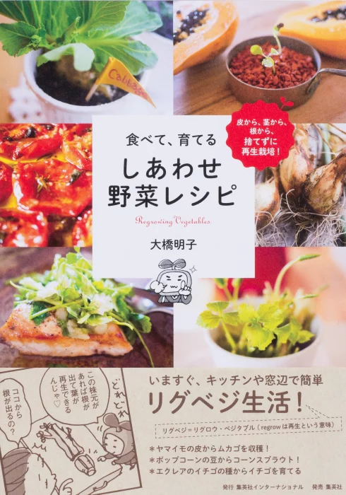 こどもに食べさせたいごはんと野菜 : 自然の恵みをおいしく食べる食育レシピ こどもに食べさせたいごはんと野菜 : 自然の恵みをおいしく
